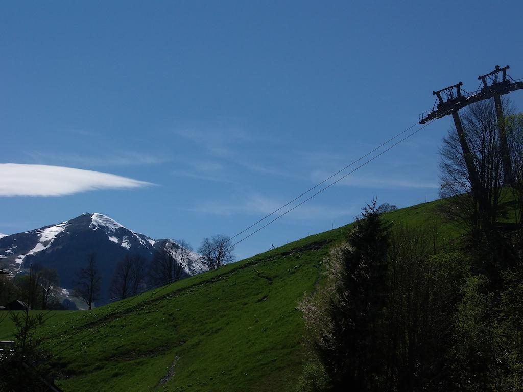 Haus Bergheim Lejlighed Saalbach-Hinterglemm Eksteriør billede