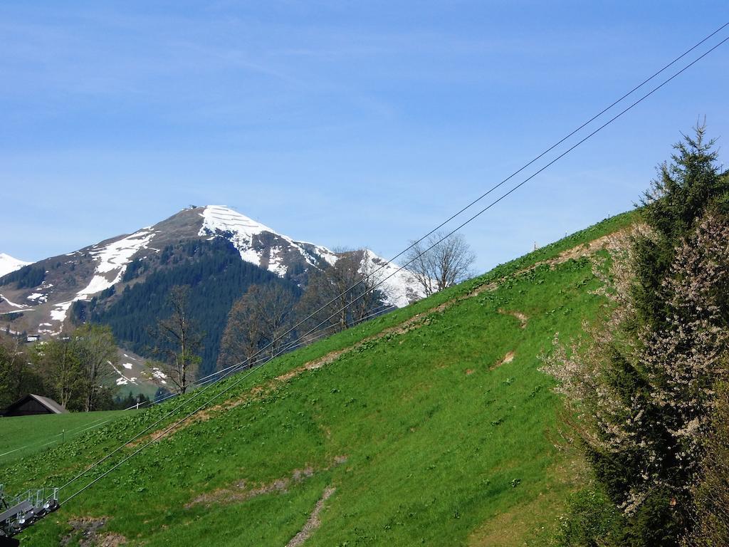 Haus Bergheim Lejlighed Saalbach-Hinterglemm Eksteriør billede